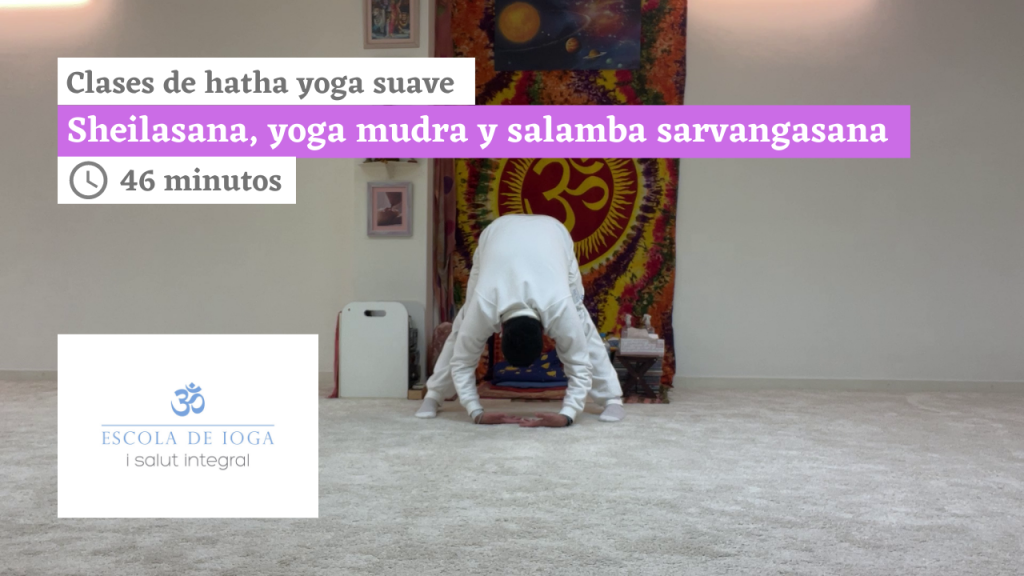 Hatha yoga suave: sheilasana, yoga mudra y salamba sarvangasana