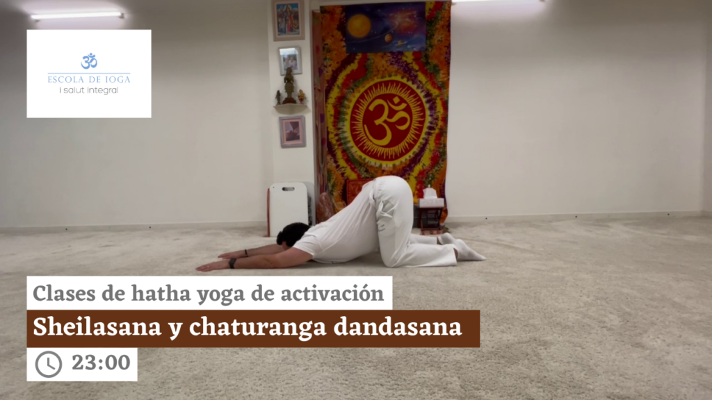 Hatha yoga de activación: sheilasana y chaturanga dandasana