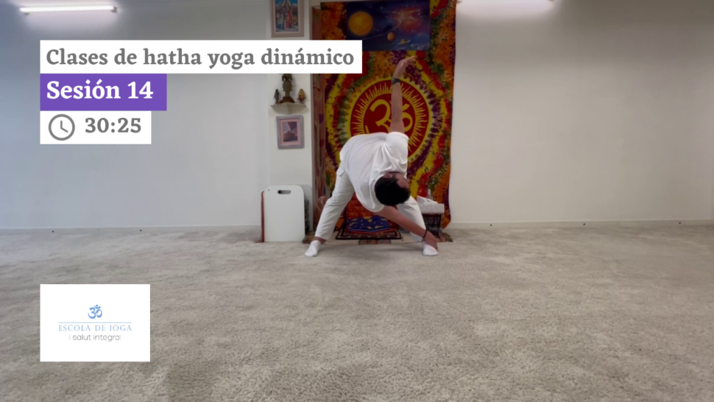 Hatha yoga dinámico: sesión 14