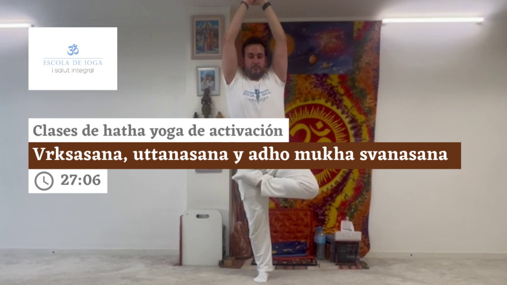 Hatha yoga de activación: vrksasana, uttanasana y adho mukha svanasana