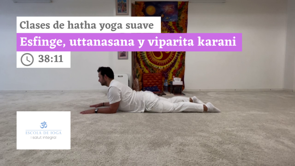 Hatha yoga suave: esfinge, uttanasana y viparita karani