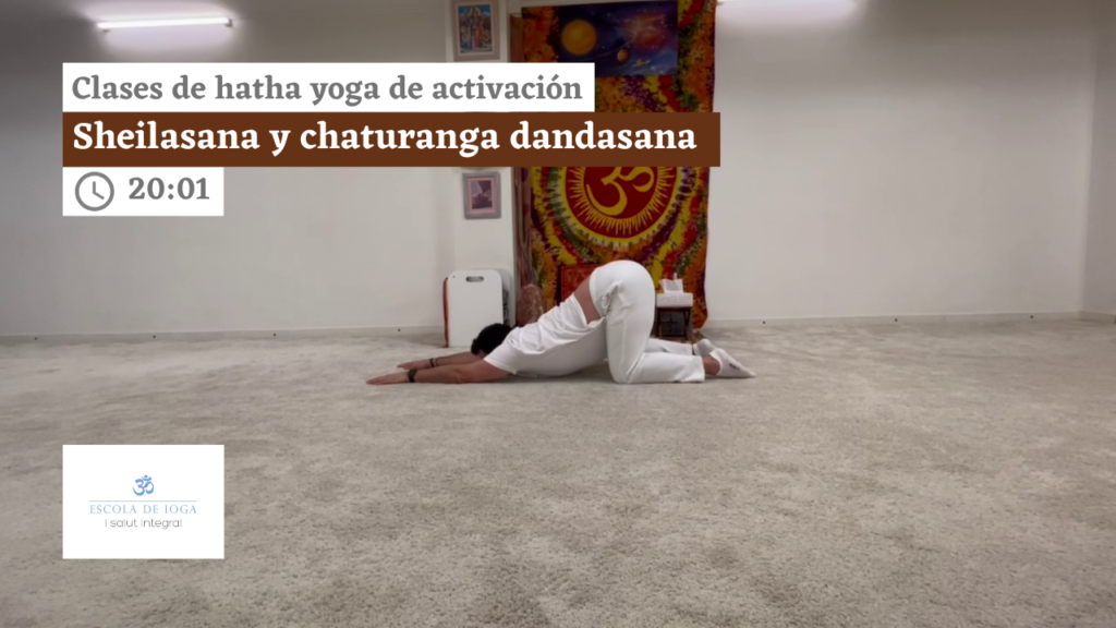 Hatha yoga de activación: sheilasana y chaturanga dandasana