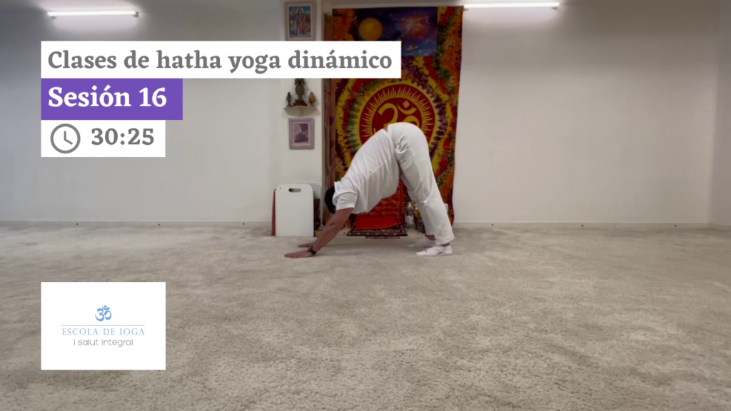 Hatha yoga dinámico: sesión 16